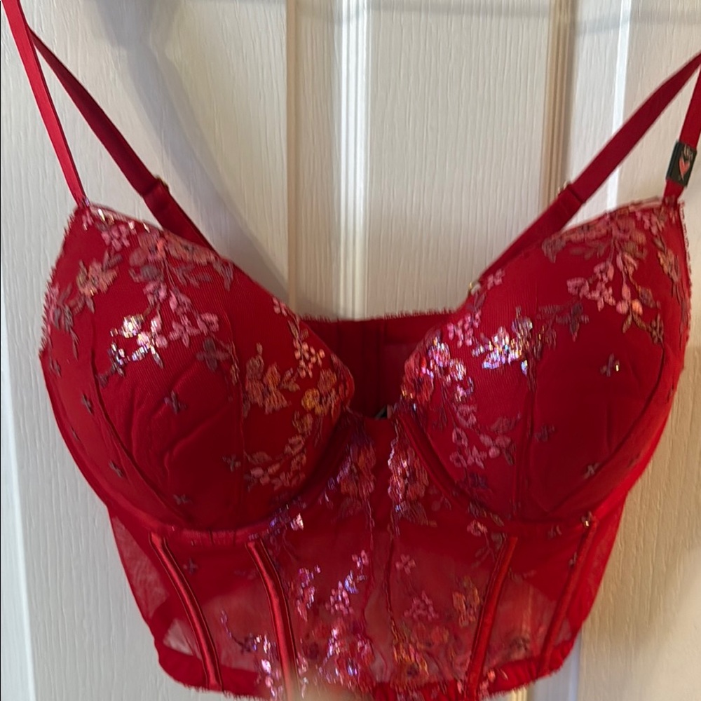 VS NWT embroidered bustier bra